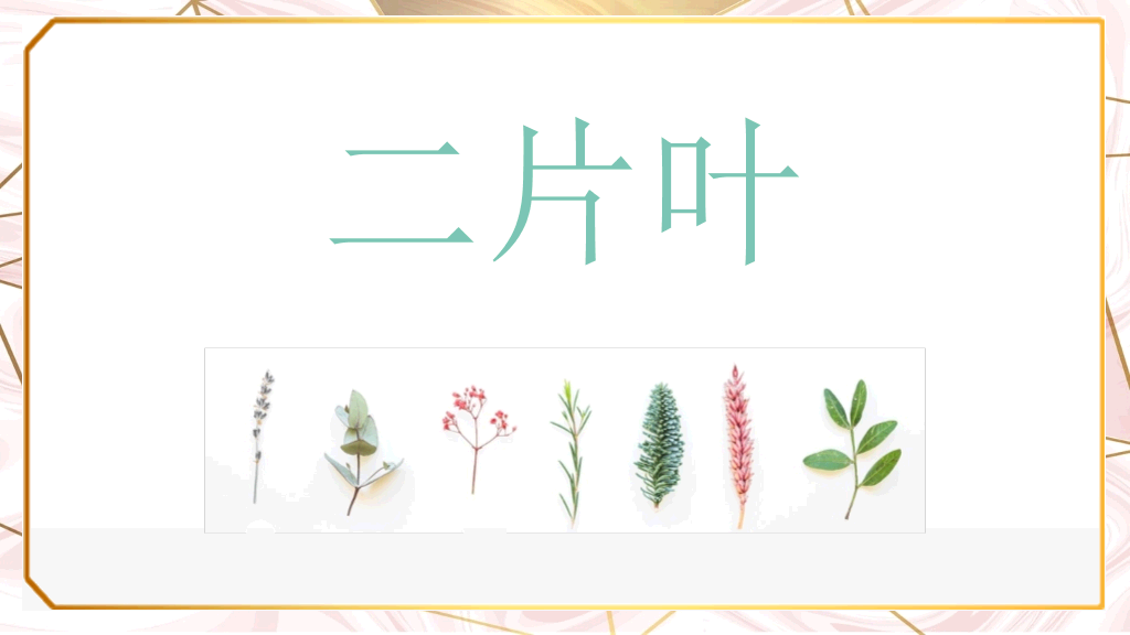 创意淡雅清新叶子PPT模板