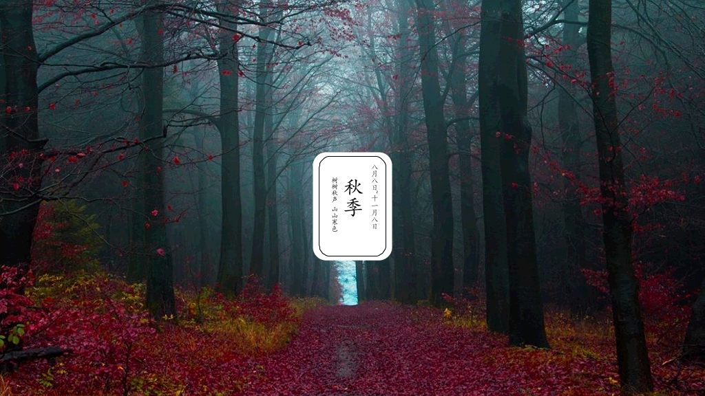 好看配图二十四节气PPT模板
