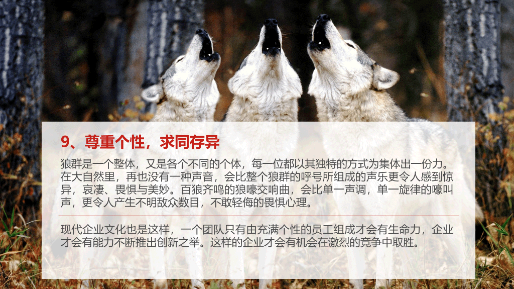 企业文化狼性精神培训PPT模板