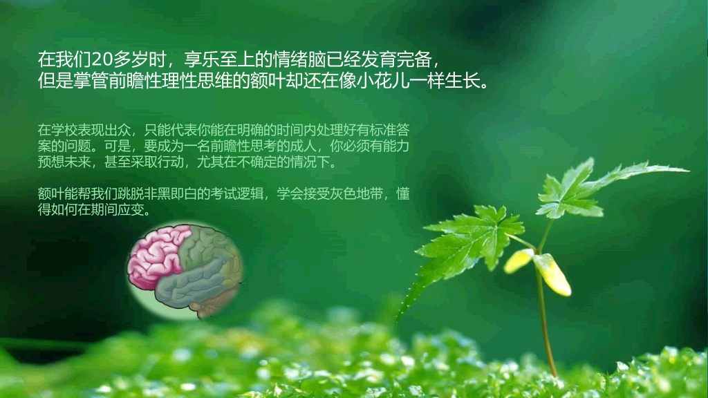 《二十岁光阴不再来》读书笔记PPT