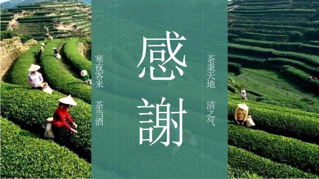 茶文化茶艺茶道PPT模板