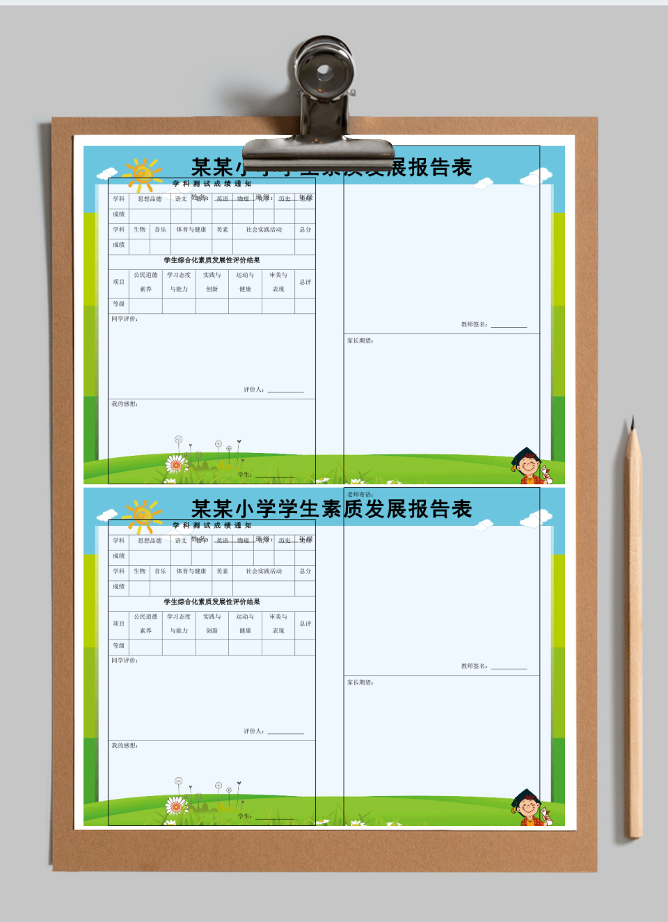 成绩单学生素质发展报告表