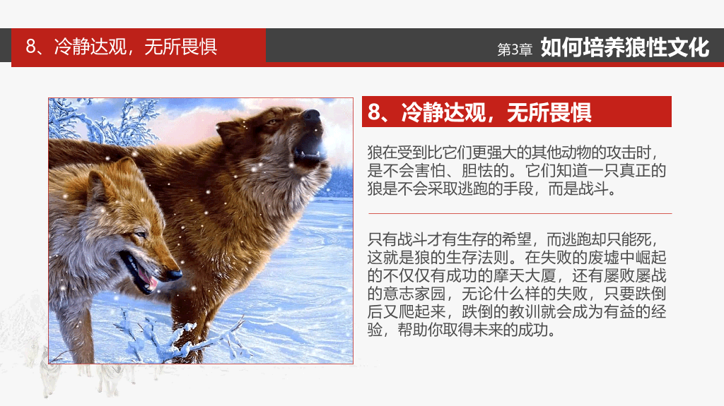 企业文化狼性精神培训PPT模板