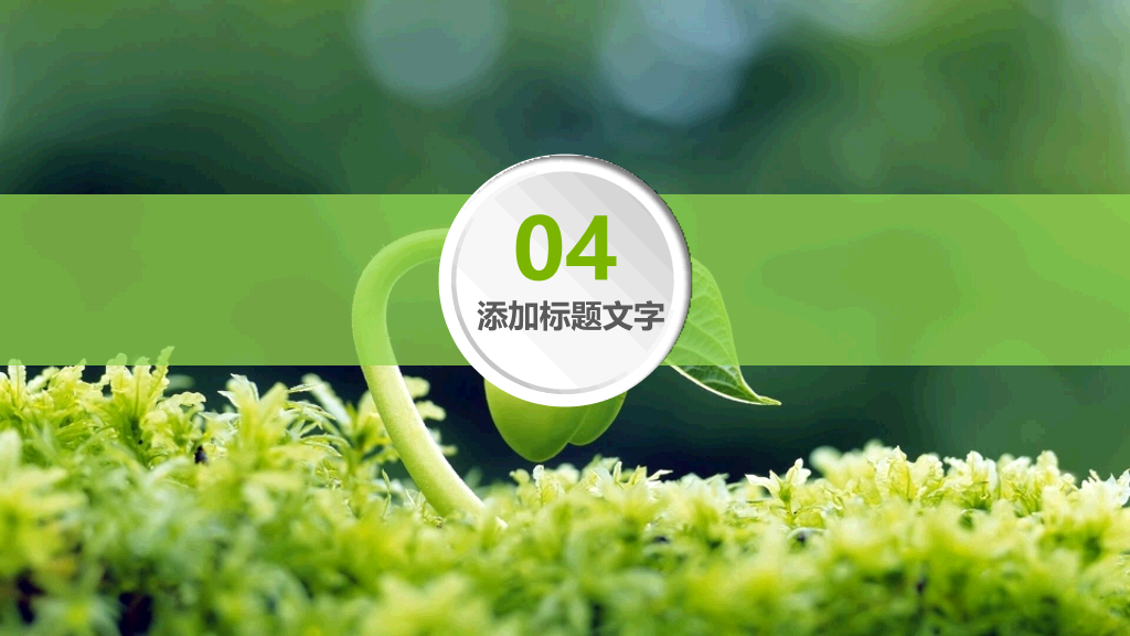 幼苗发芽绿色植物PPT模板