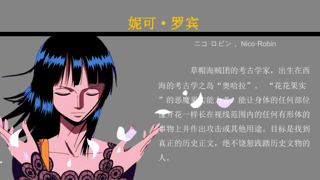 海贼王主要人物介绍PPT