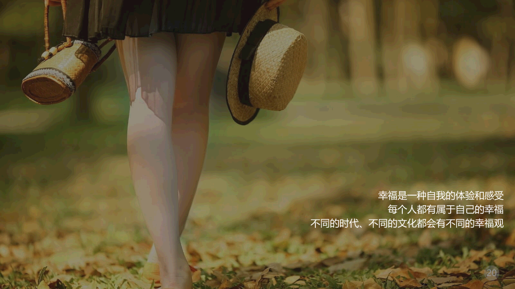 什么是幸福追求幸福PPT