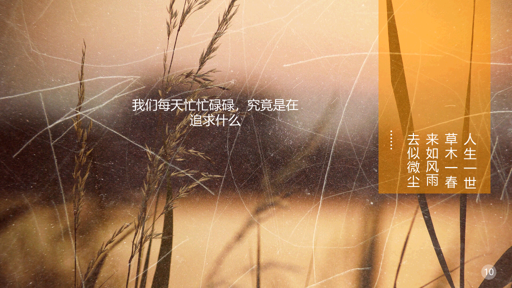 什么是幸福追求幸福PPT