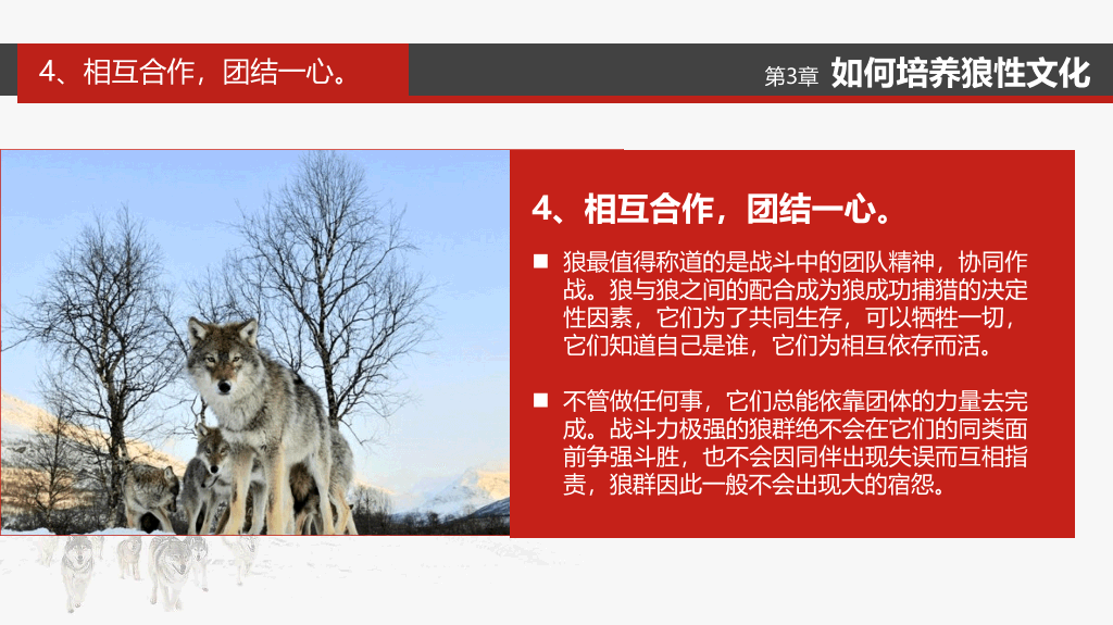 企业文化狼性精神培训PPT模板