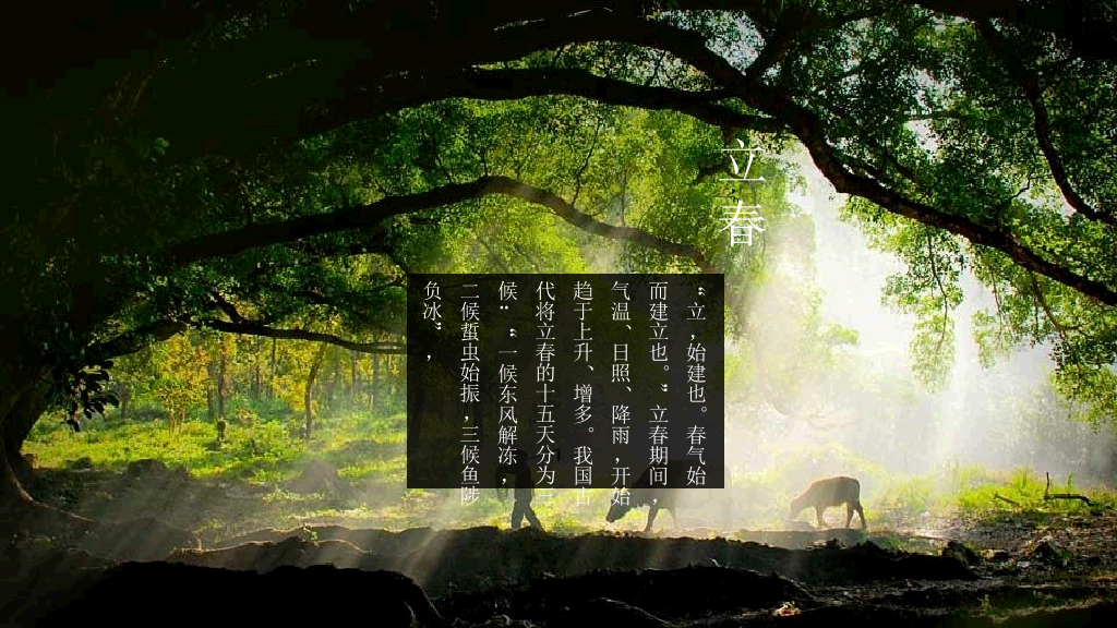 好看配图二十四节气PPT模板