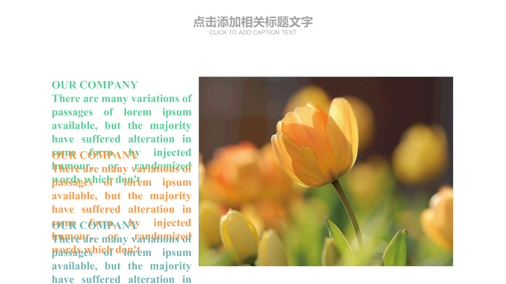 简约唯美淡雅小清新PPT模板