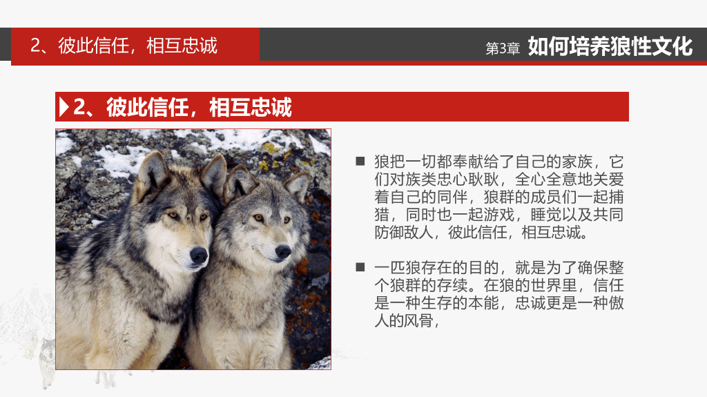 企业文化狼性精神培训PPT模板