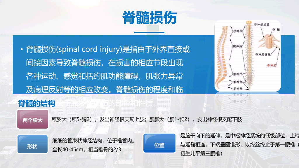105#脊髓损伤护理查房-1