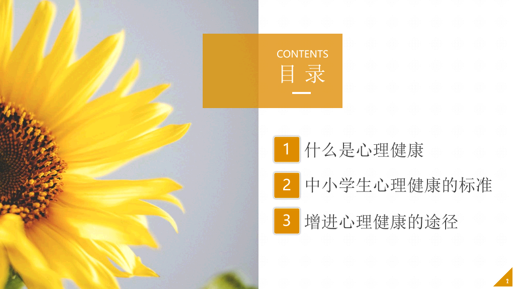 班会PPT:中小学生心理健康应知应会