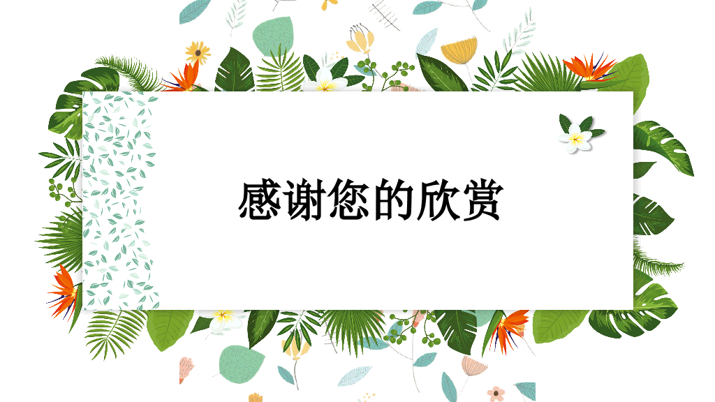 153#植物风公开课通用模板