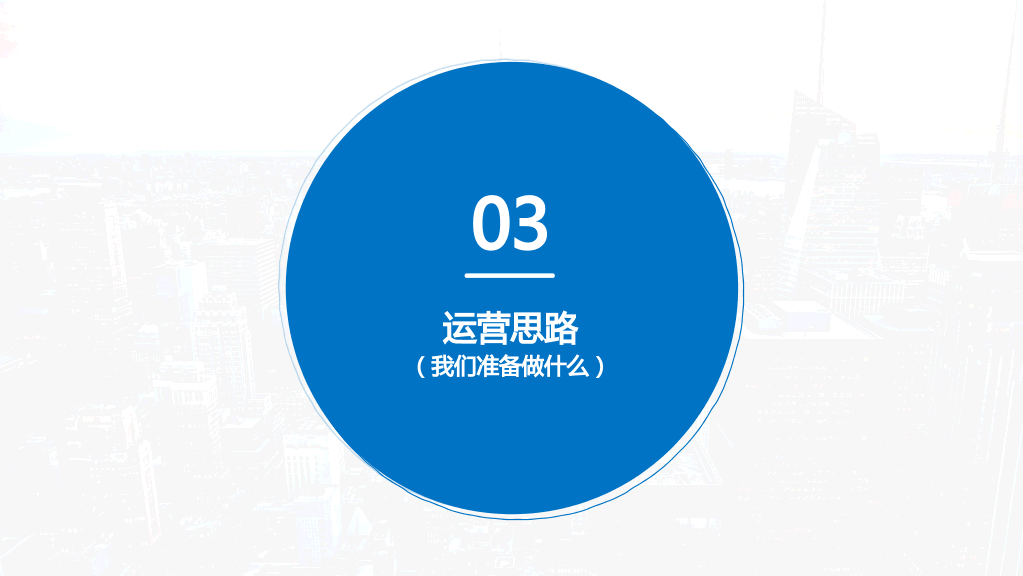 131#项目商业计划书