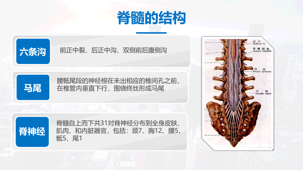 105#脊髓损伤护理查房-1