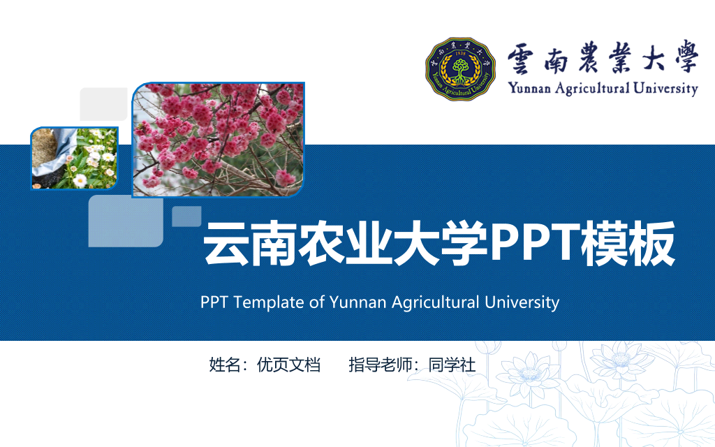云南农业大学本科毕业论文答辩和论文选题PPT