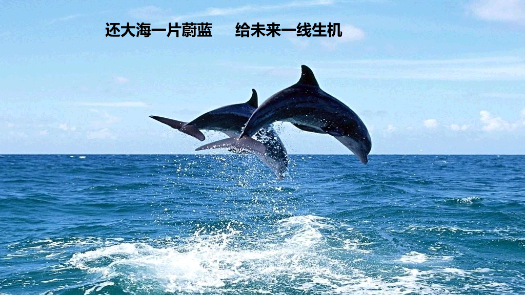 169#海洋环境保护宣传PPT模板