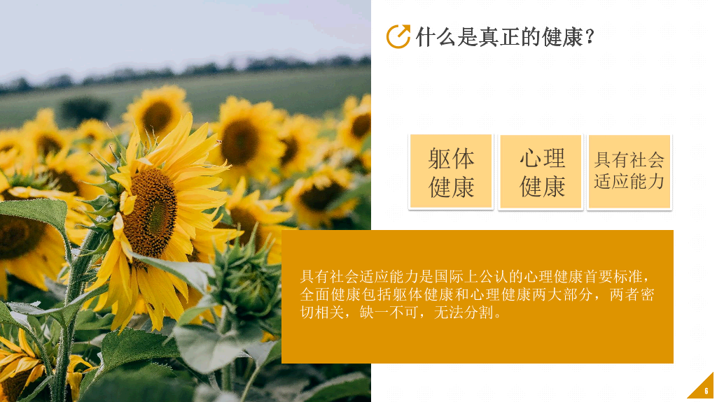 班会PPT:中小学生心理健康应知应会