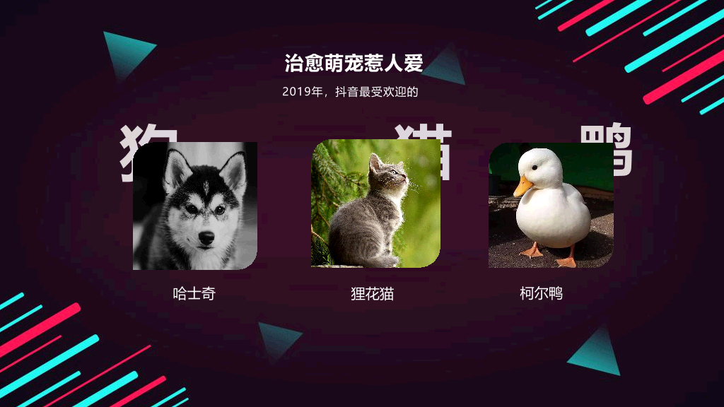 112#2020年抖音大数据报告PPT