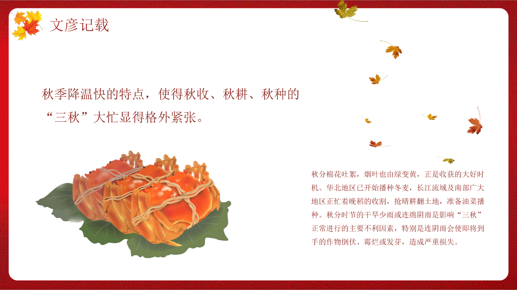 102#火红色枫叶背景《你好秋天》秋分节气PPT模板