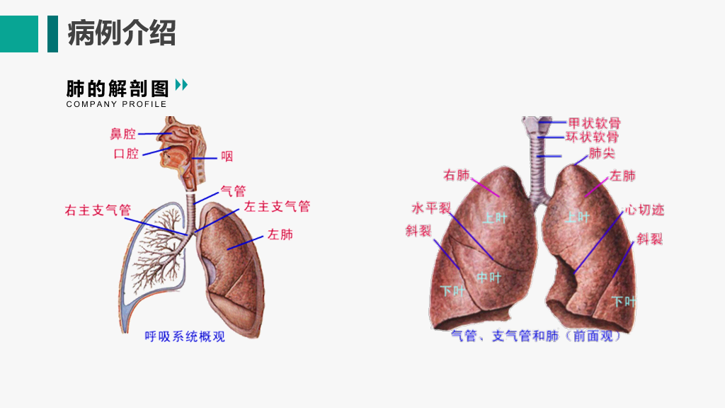 105#呼吸衰竭护理查房-3