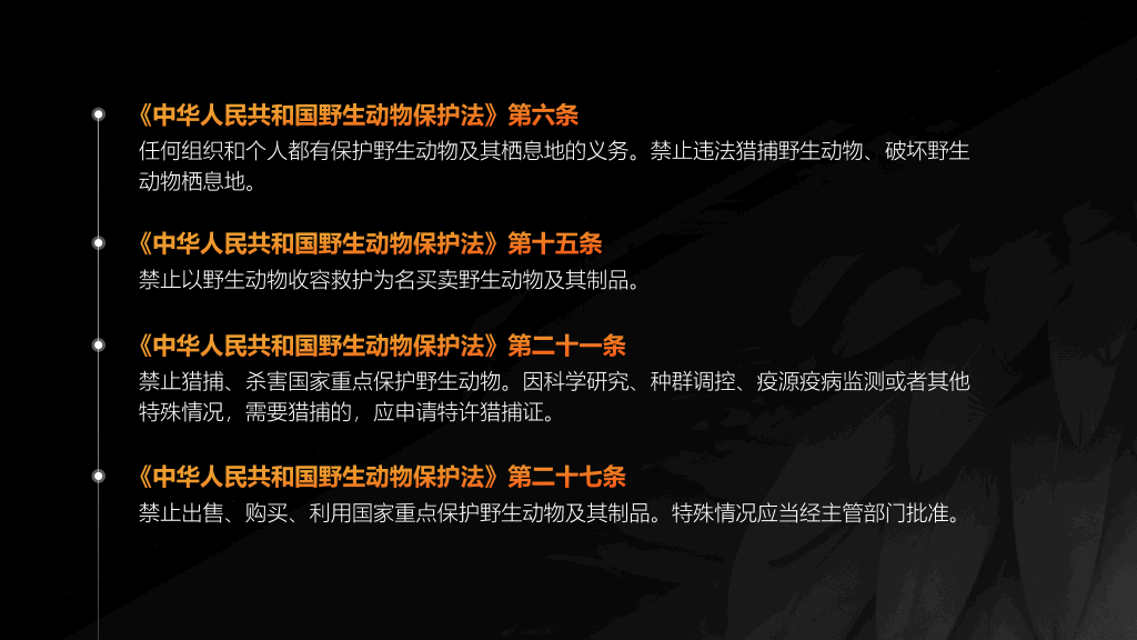 169#野生动物保护教育PPT模板