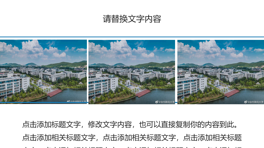 徐州医科大学本科毕业论文答辩PPT