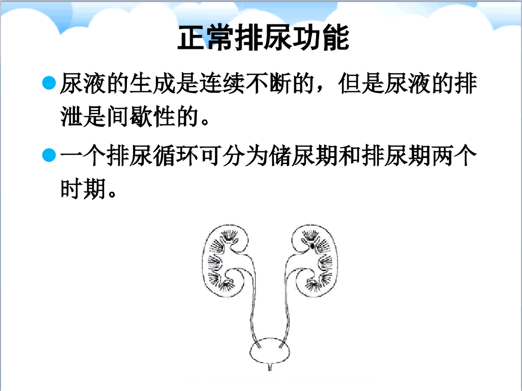 105#尿失禁评估与护理