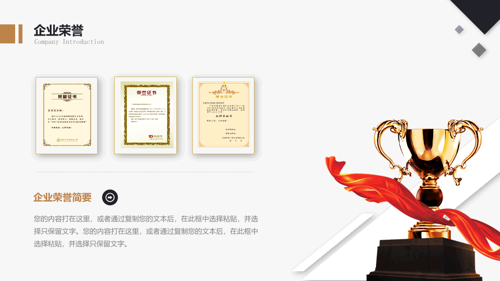 127#精美企业公司介绍宣传PPT模板