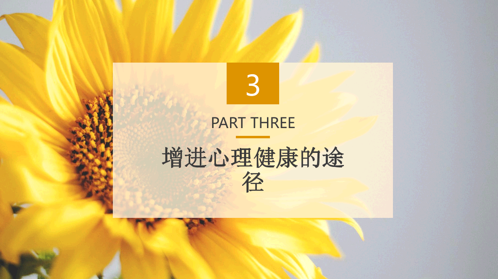班会PPT:中小学生心理健康应知应会