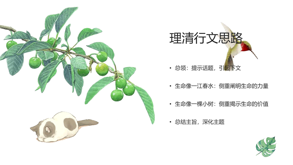170#谈生命PPT课件