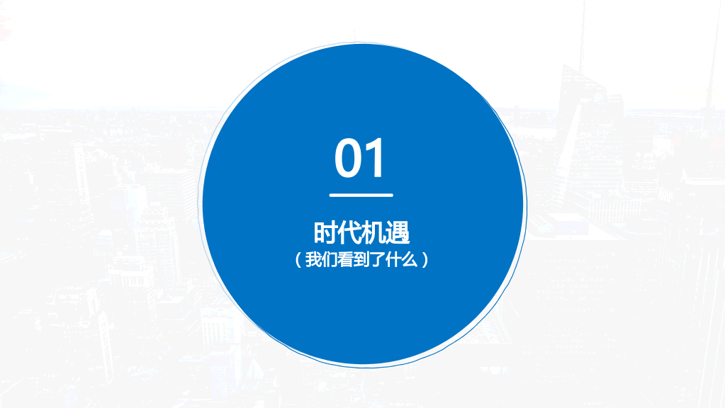 131#项目商业计划书
