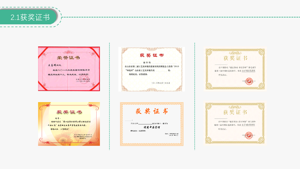 171#奖学金申请答辩模板