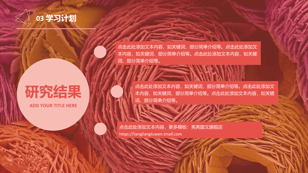 西北政法大学本科毕业论文答辩PPT