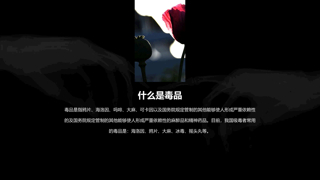珍爱生命拒绝毒品禁毒教育课件PPT模板