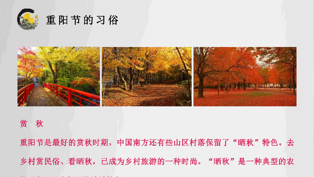 102#中国传统文化重阳节主题PPT