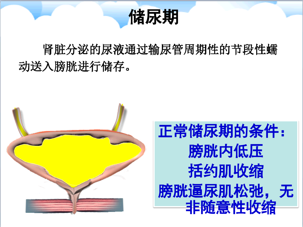 105#尿失禁评估与护理
