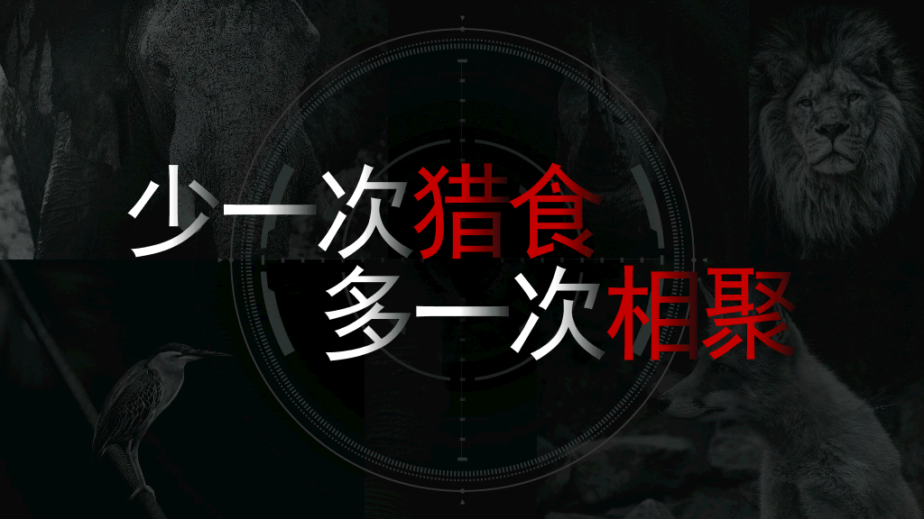 169#野生动物保护教育PPT模板