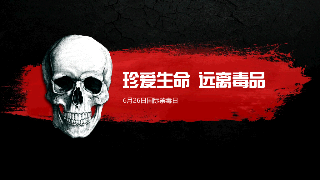 珍爱生命远离毒品国际禁毒日教育课件