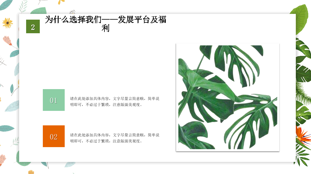 153#植物风公开课通用模板