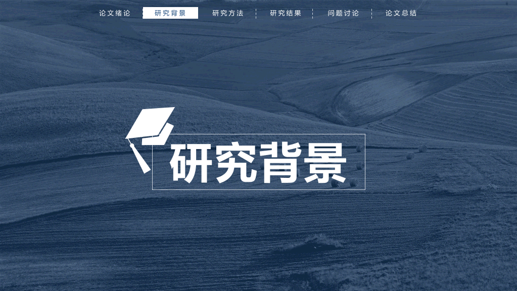 西南财经大学本科毕业论文答辩PPT