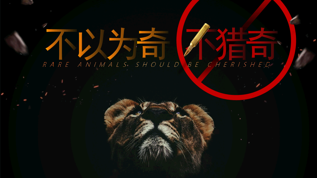 169#野生动物保护教育PPT模板