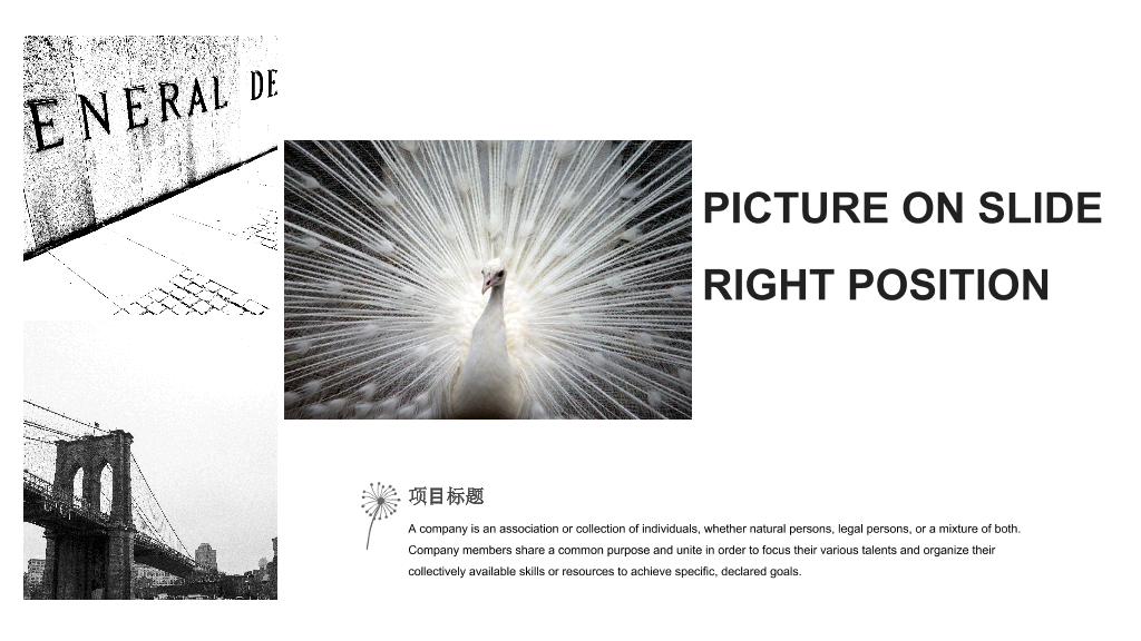 北京工业大学本科毕业论文答辩PPT