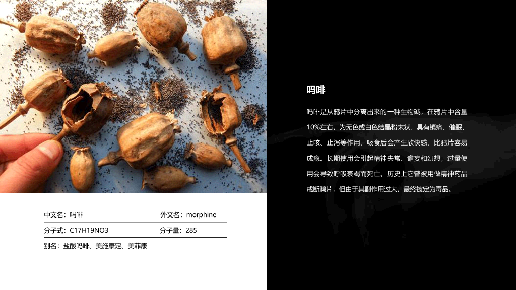 珍爱生命拒绝毒品禁毒教育课件PPT模板
