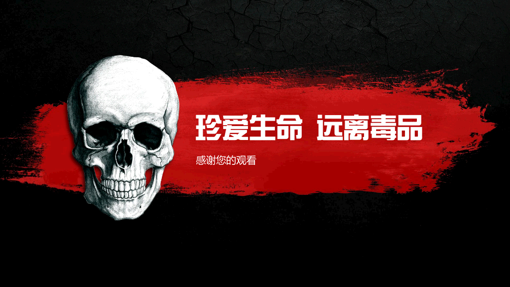 珍爱生命远离毒品国际禁毒日教育课件