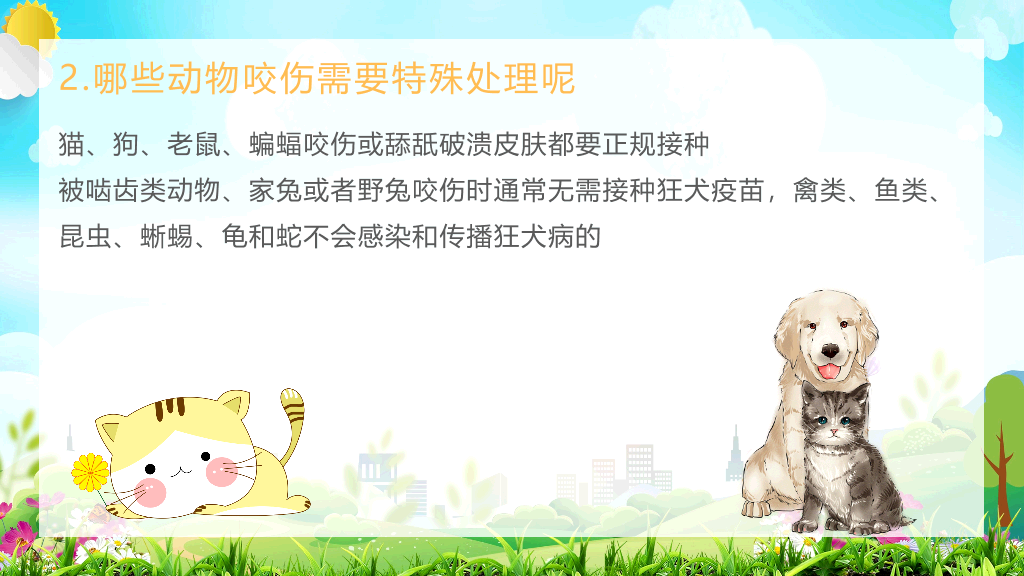 105#校园救知识培训PPT