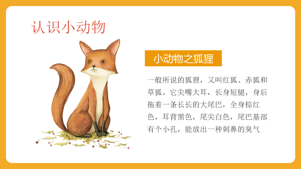 可爱卡通《认识动物》PPT课件