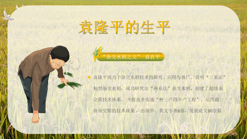 166#杂交水稻之父袁隆平-人物介绍