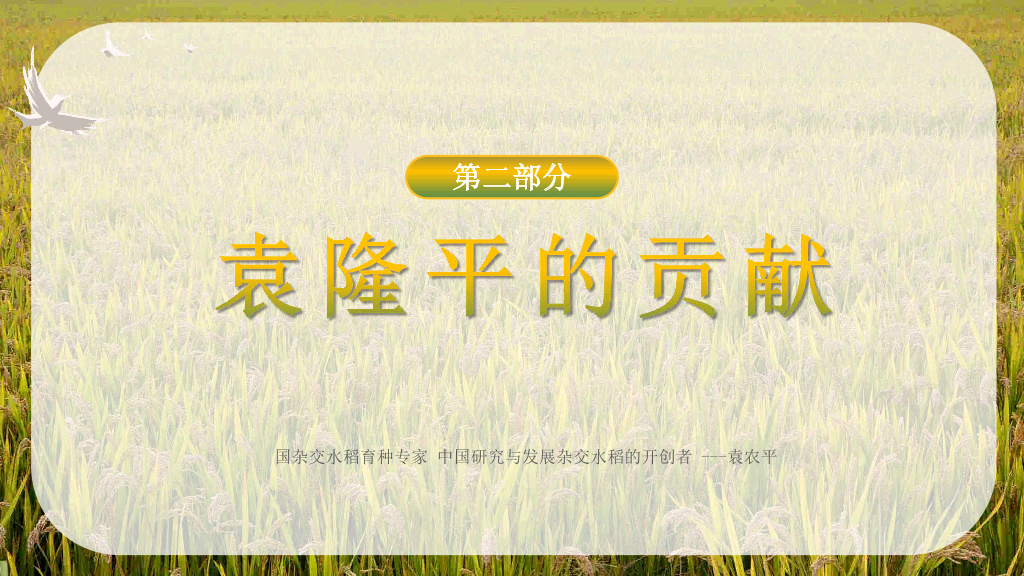 166#杂交水稻之父袁隆平-人物介绍